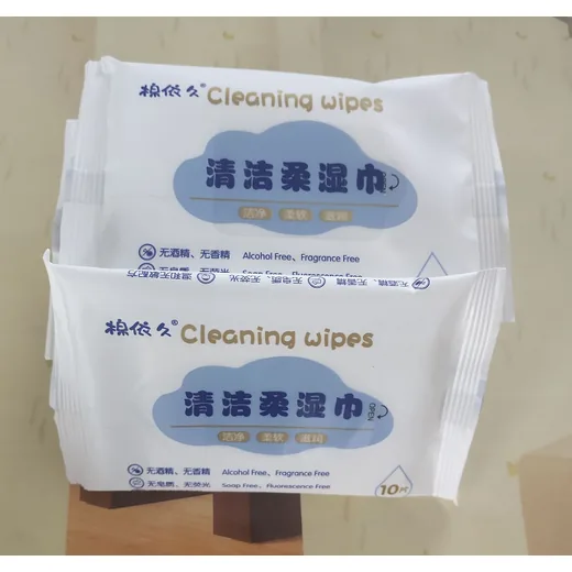 清洁湿巾礼品示例